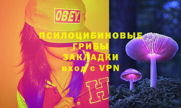кристаллы Мегион