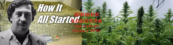 кристаллы Мегион