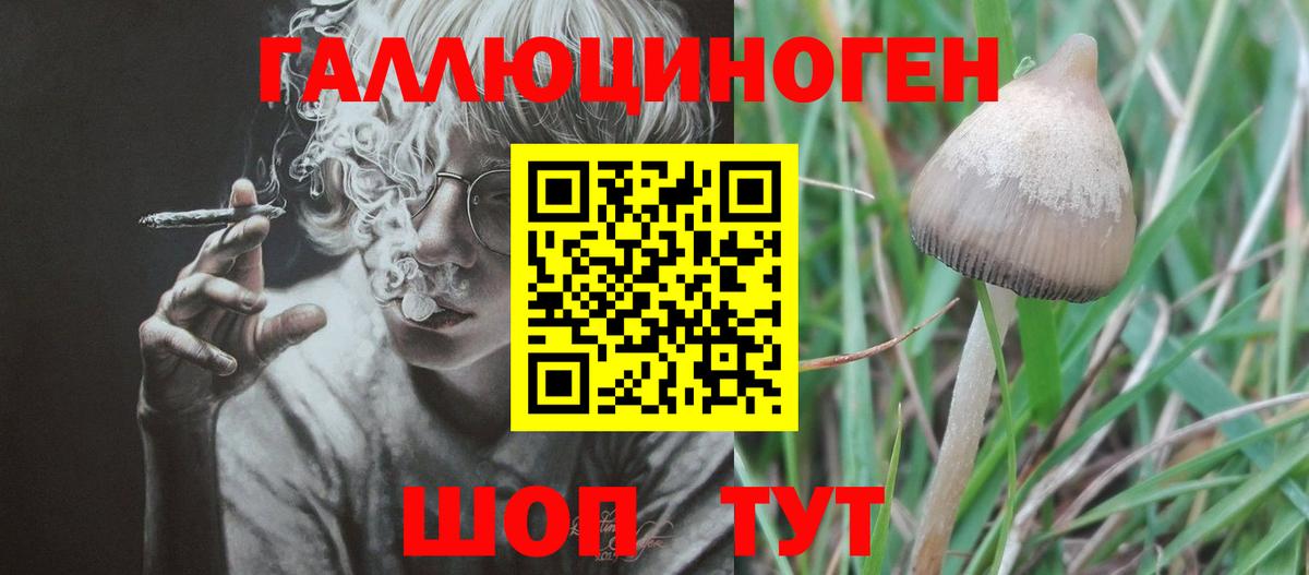 Галлюциногенные грибы ЛСД Кумертау